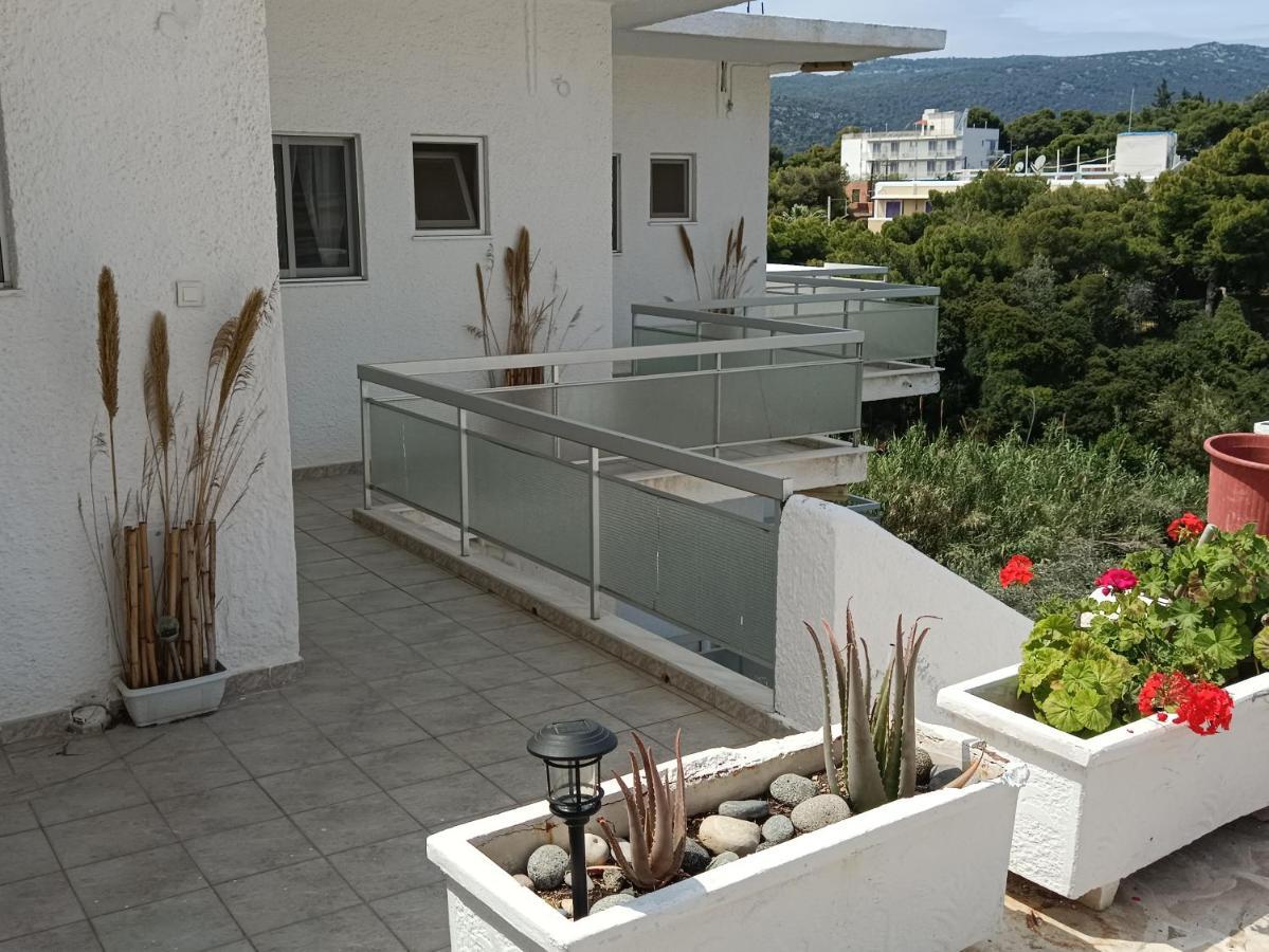 Meltemi Apartments Agia Marina  Extérieur photo