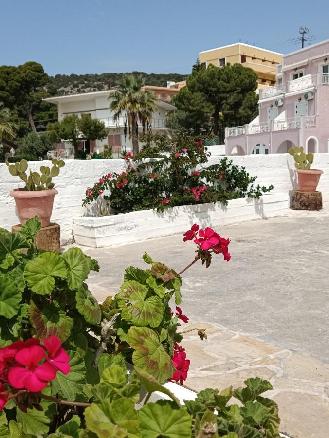 Meltemi Apartments Agia Marina  Extérieur photo